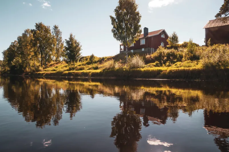 Värmland Leads the Way in Bioeconomy